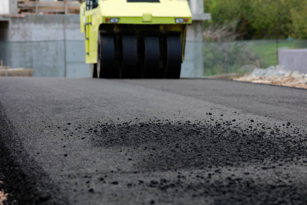 Best Residential Driveway Paver Services  in Lynwood, IL